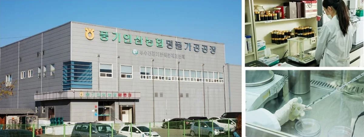 Chứng chỉ đạt được