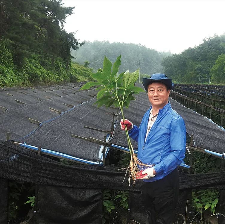 Lời nói đầu