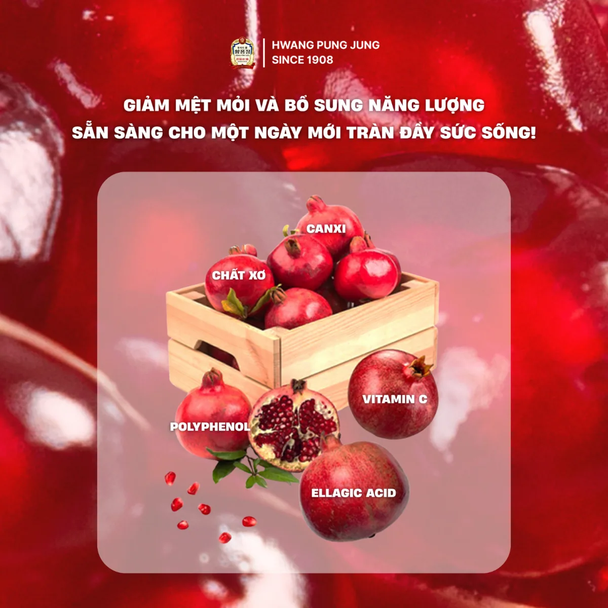 Nước Hồng Sâm Lựu Collagen-4