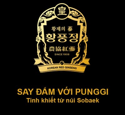 Biểu trưng hồng sâm Hwang Pung Jung