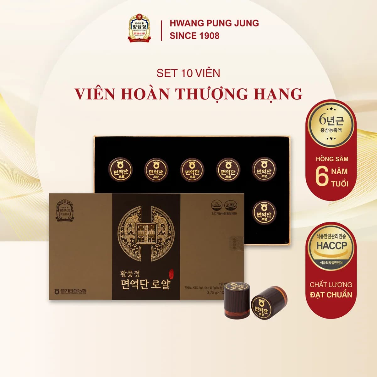 Viên Hoàn Hồng Sâm Thượng Hạng 10 Viên