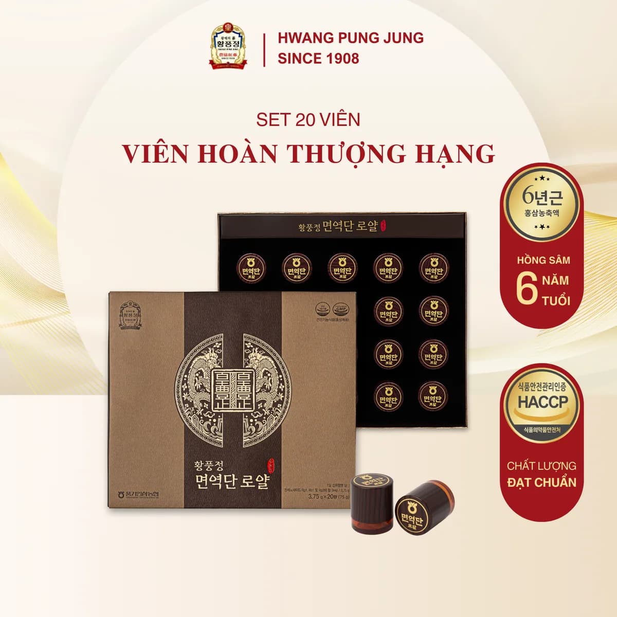 Viên Hoàn Hồng Sâm Thượng Hạng 20 Viên-1
