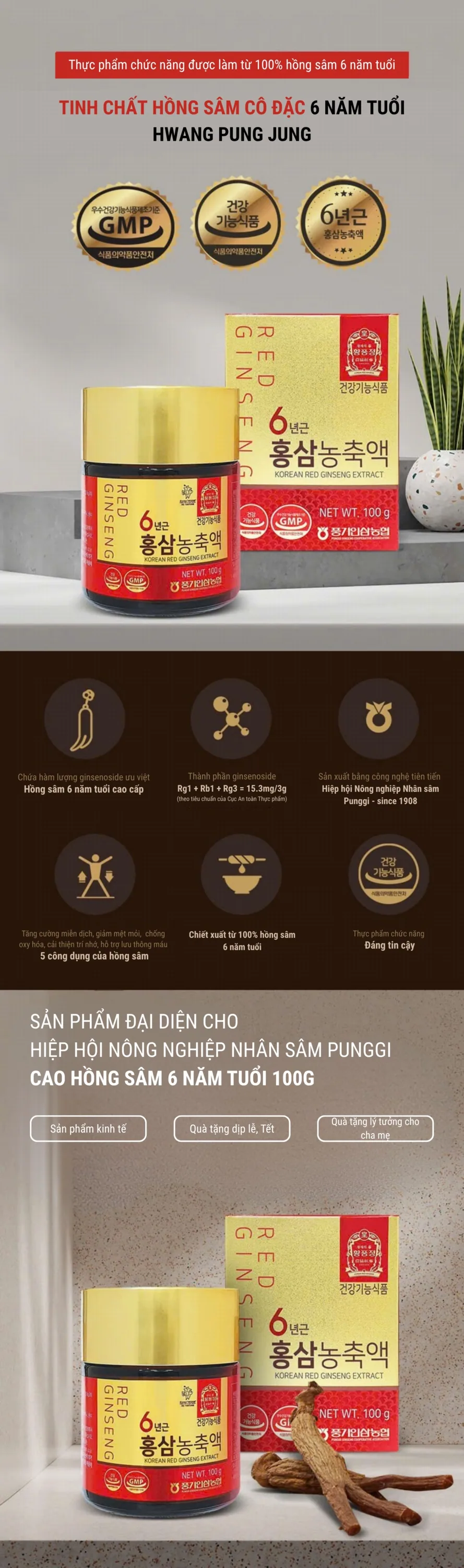 Cao Hồng Sâm 100g - chi tiết 1
