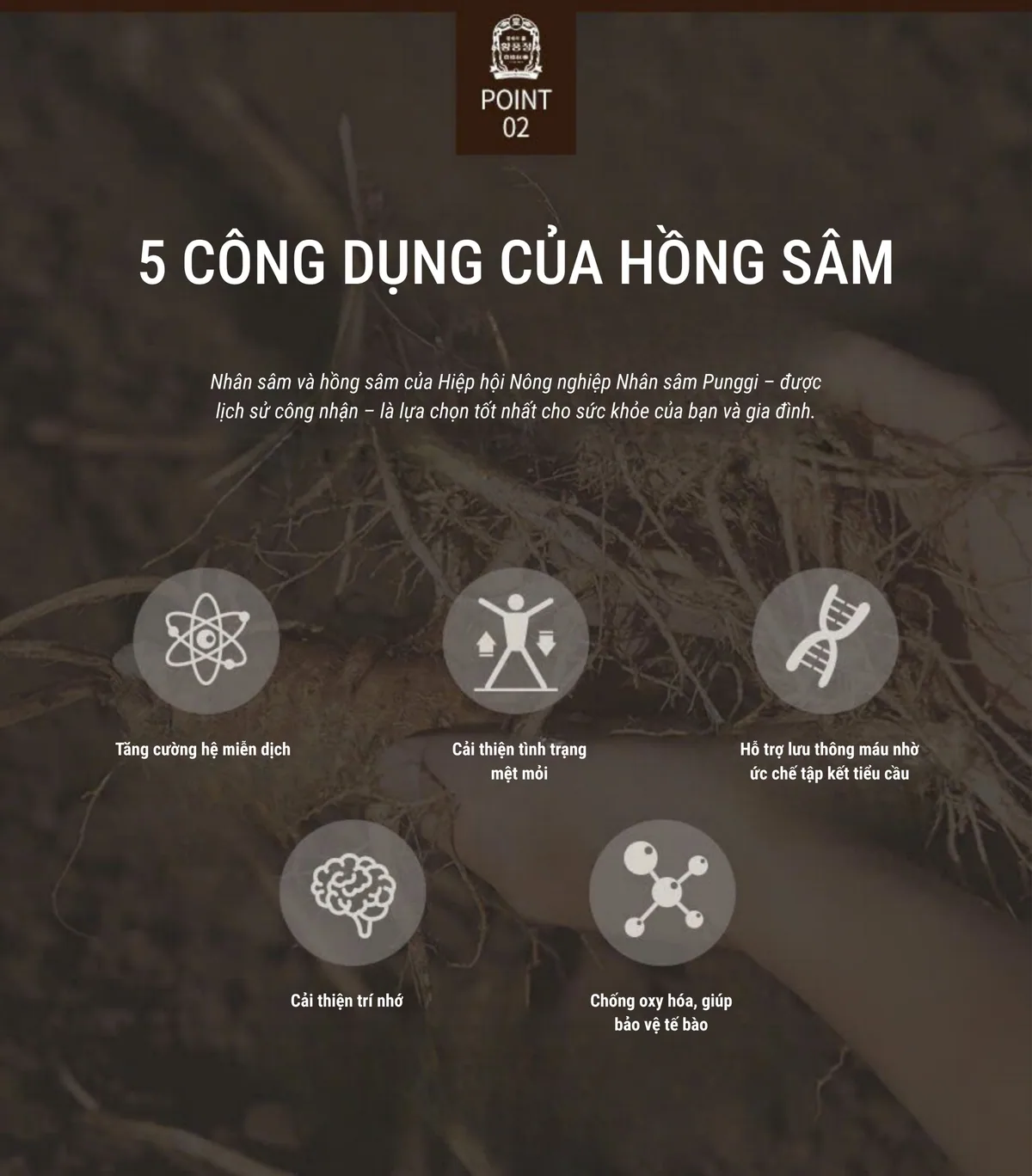 Cao Hồng Sâm 100g - chi tiết 3