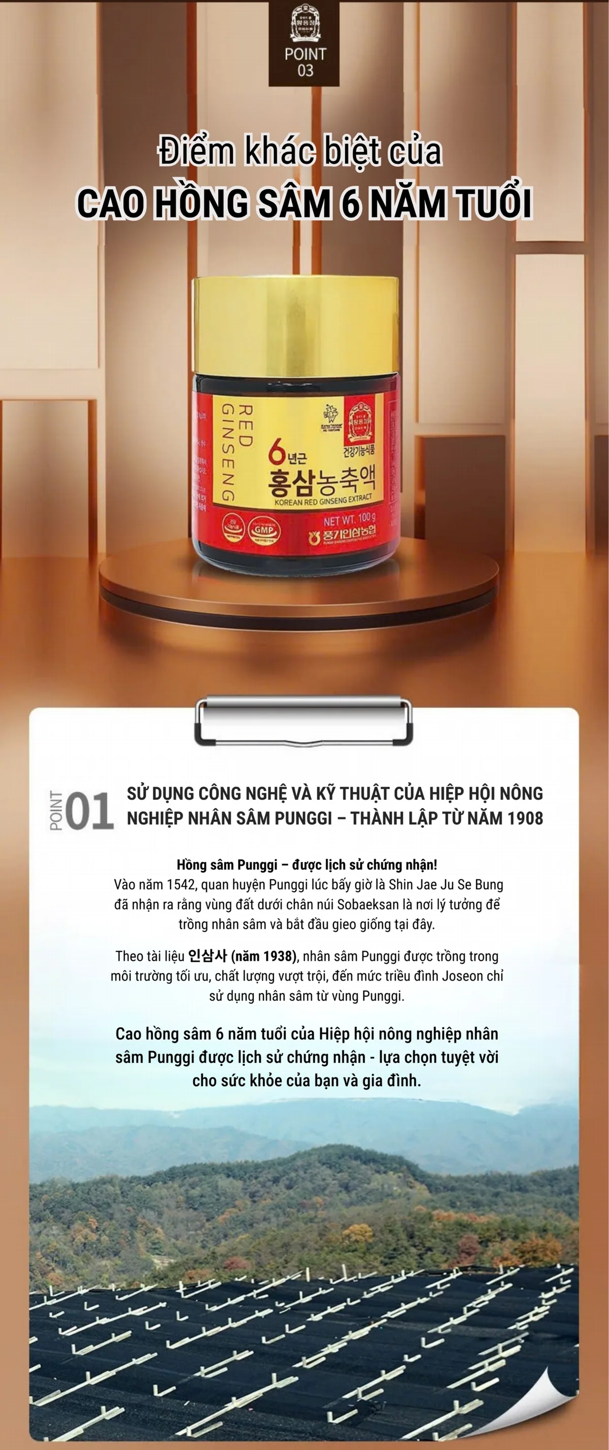 Cao Hồng Sâm 100g - chi tiết 4