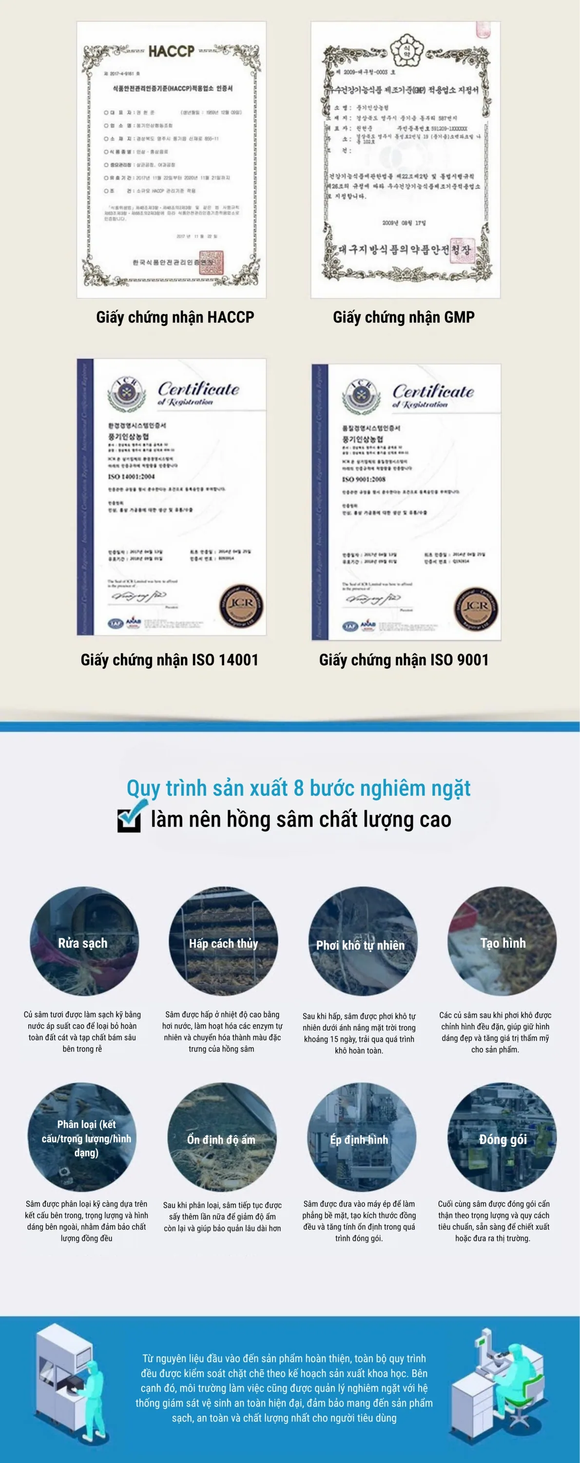 Cao Hồng Sâm Cao Cấp Meister - chi tiết 8