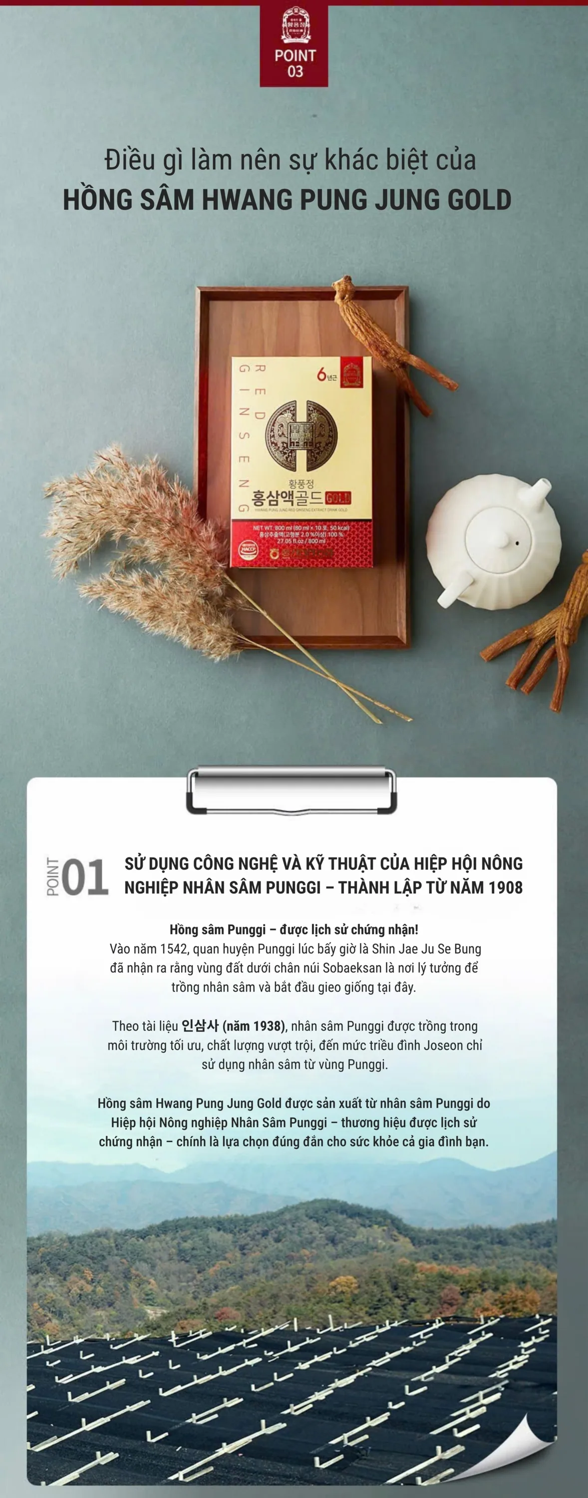 Nước Hồng Sâm Gold Thượng Hạng - chi tiết 6