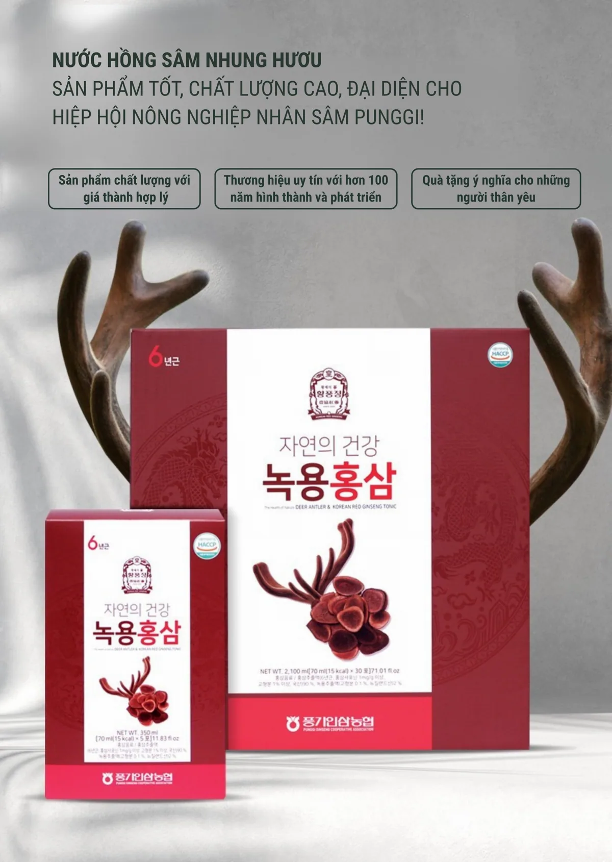 Nước Hồng Sâm Nhung Hươu - chi tiết 2
