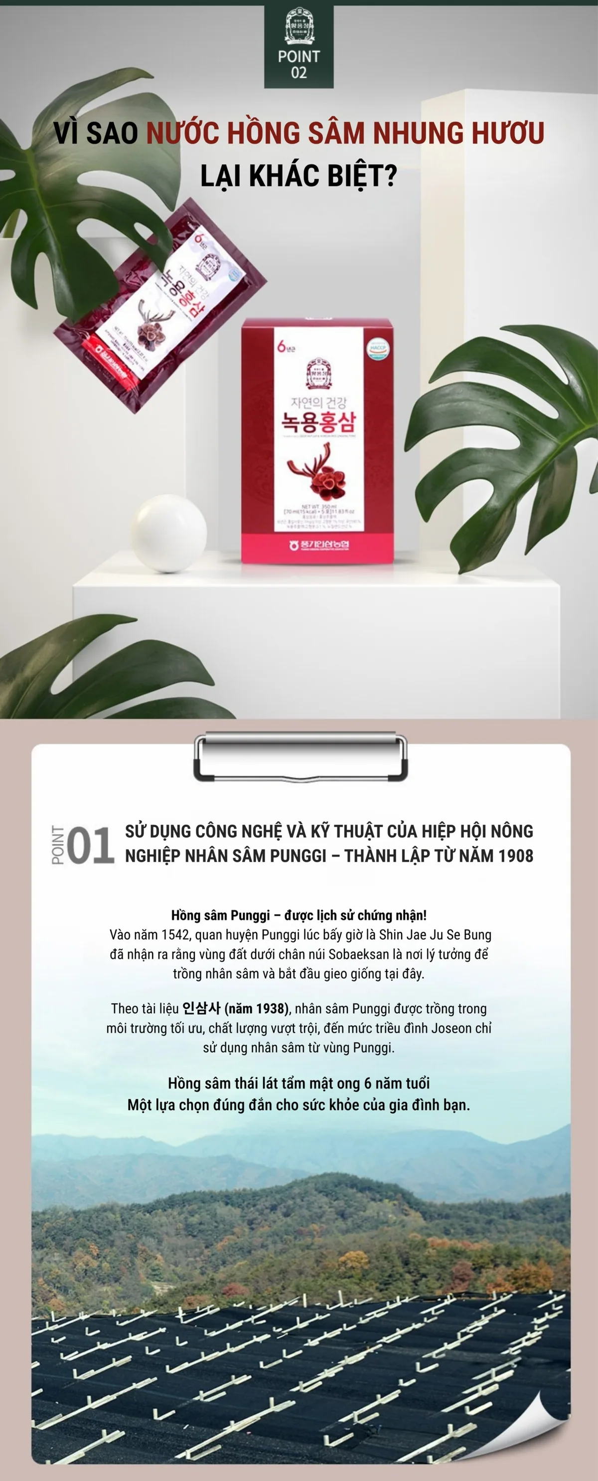 Nước Hồng Sâm Nhung Hươu - chi tiết 6