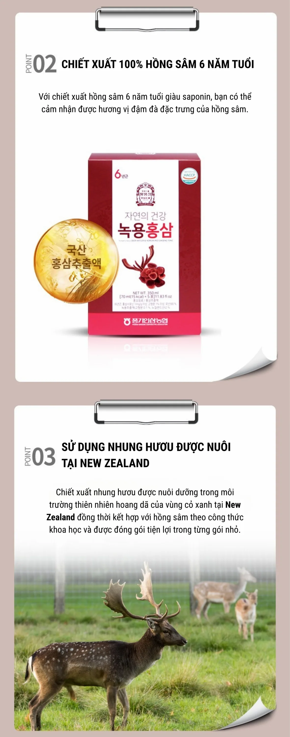 Nước Hồng Sâm Nhung Hươu - chi tiết 7