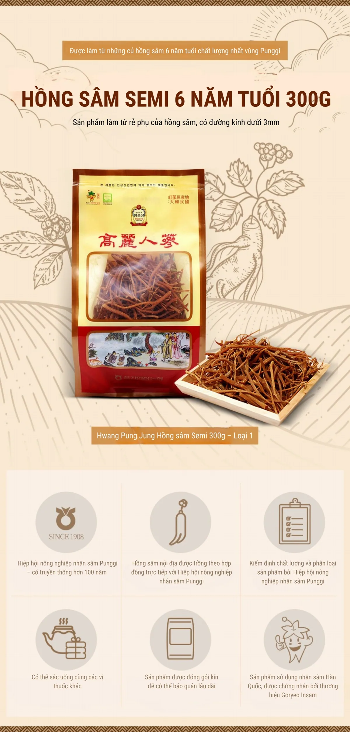 Rễ Hồng Sâm SEMI 6 Năm Tuổi - chi tiết 1