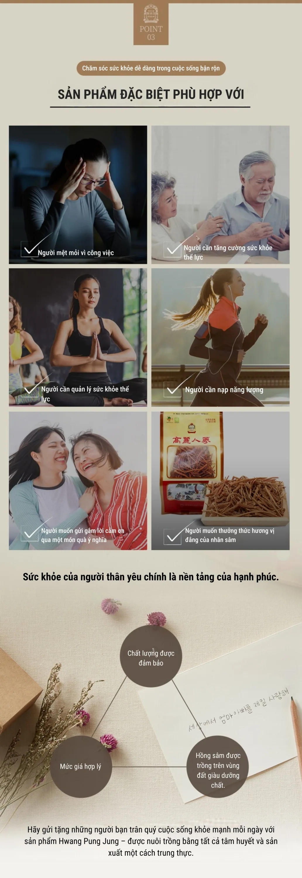 Rễ Hồng Sâm SEMI 6 Năm Tuổi - chi tiết 5