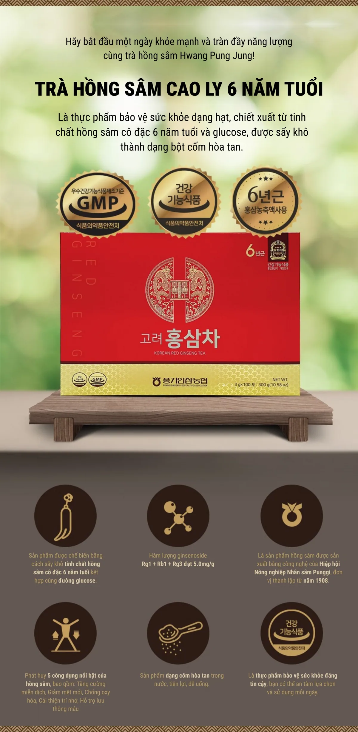 Trà Hồng Sâm (100 gói) - chi tiết 1